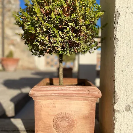 Don Giacchi Bed & Breakfast