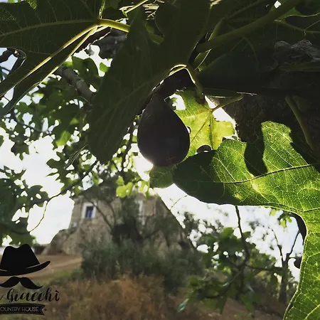 Don Giacchi B&B 카탄차로