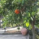 Don Giacchi Bed and breakfast 3*