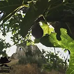 Don Giacchi Bed and breakfast Catanzaro