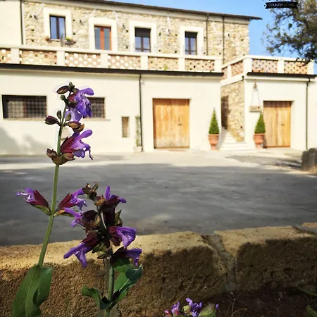 Don Giacchi Bed & Breakfast