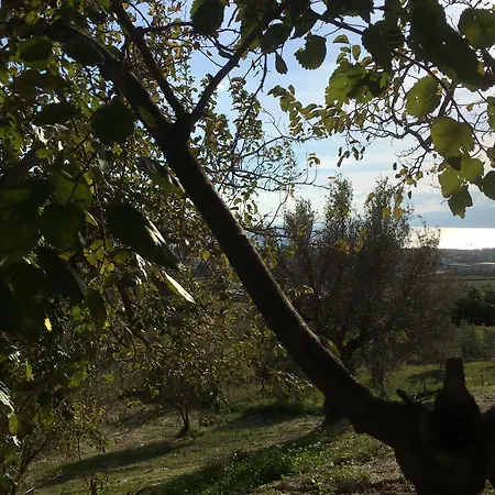 Don Giacchi 3* Catanzaro