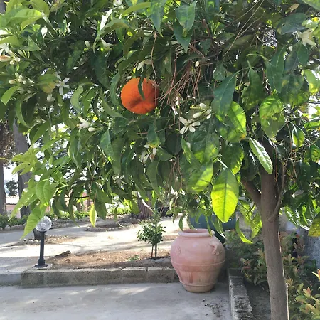 Don Giacchi 住宿加早餐酒店 3*