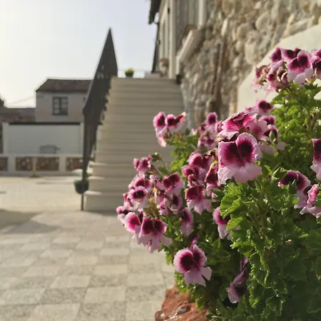 住宿加早餐酒店 Don Giacchi 卡坦扎罗