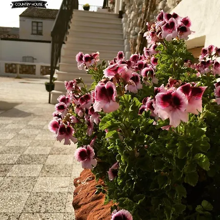 Don Giacchi Bed & Breakfast