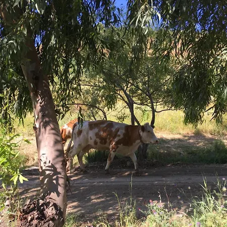 Don Giacchi Bed & Breakfast